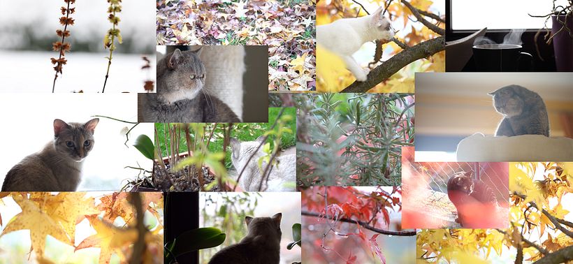 Il mio progetto del corso: Cinematografia con luce naturale 3