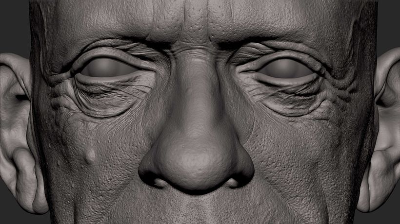 Pores detail