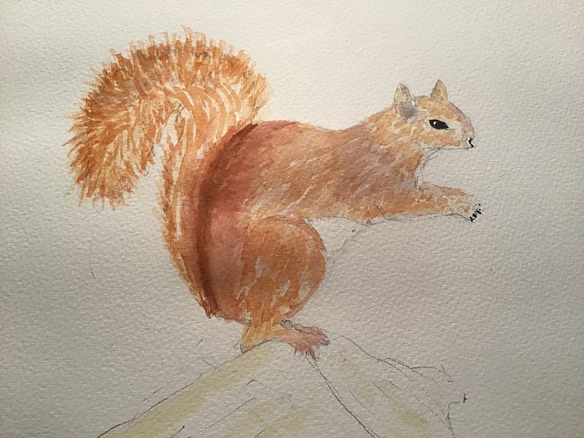 My project in Expressive Animal Portraits in Watercolor course 4