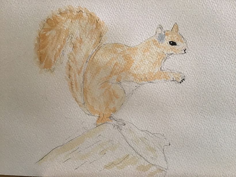 My project in Expressive Animal Portraits in Watercolor course 4