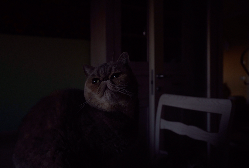 Il mio progetto del corso: Cinematografia con luce naturale 5