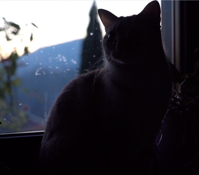 Il mio progetto del corso: Cinematografia con luce naturale 7