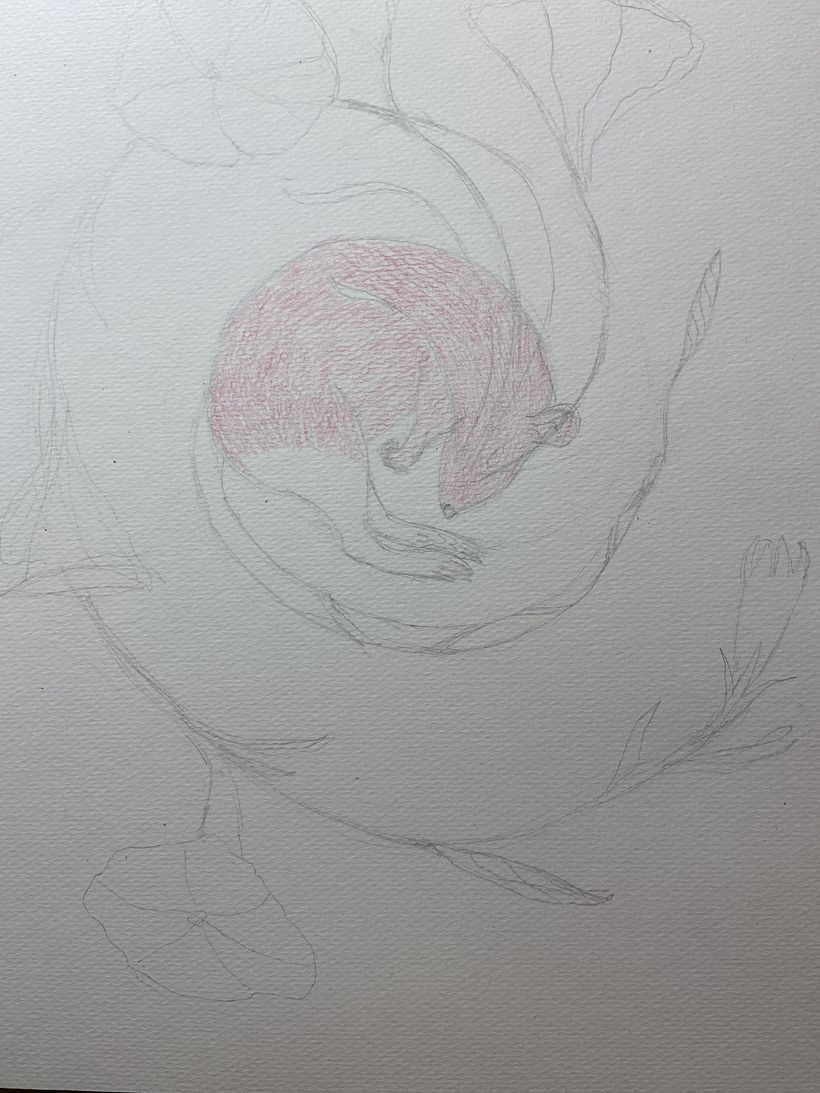 My project in Surrealist Illustration Inspired by Nature course 3