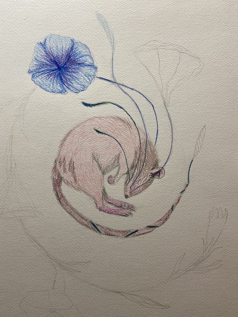My project in Surrealist Illustration Inspired by Nature course 4