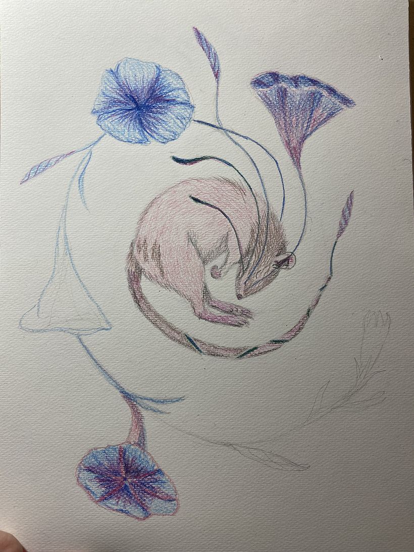 My project in Surrealist Illustration Inspired by Nature course 5