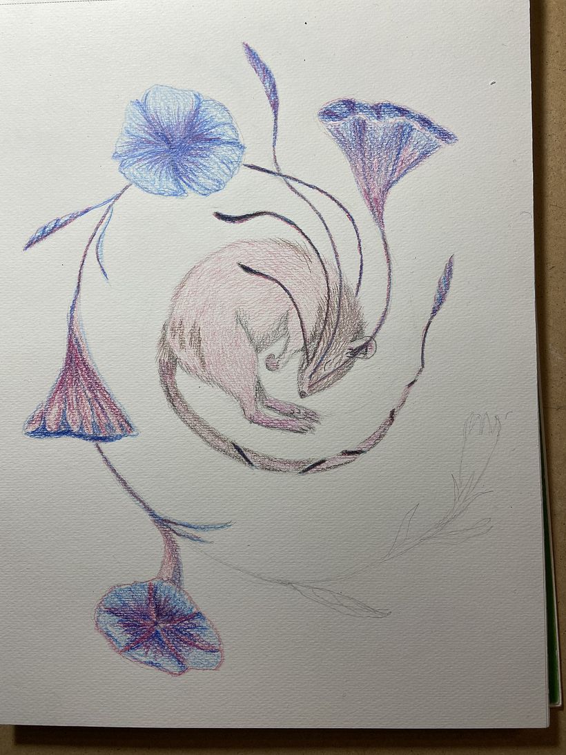 My project in Surrealist Illustration Inspired by Nature course 6
