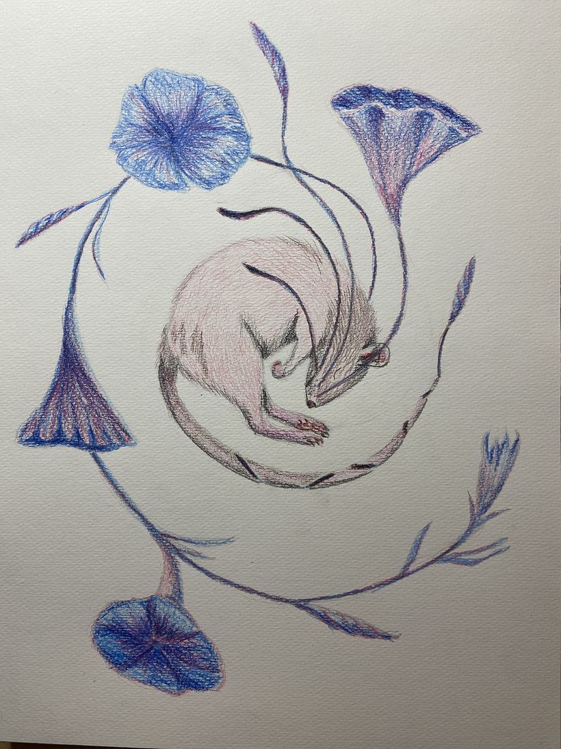 My project in Surrealist Illustration Inspired by Nature course 8