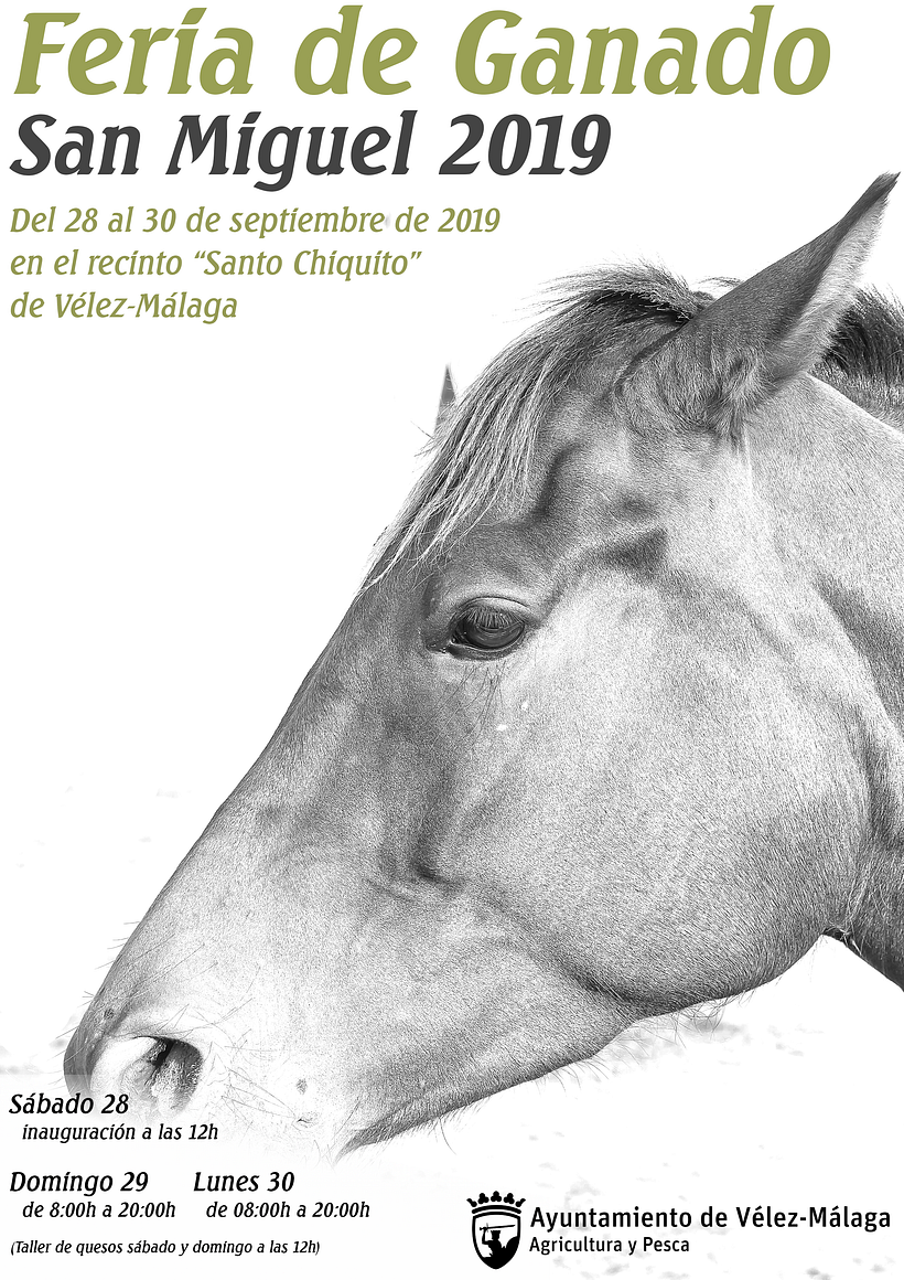 Carteles Ayuntamiento 3