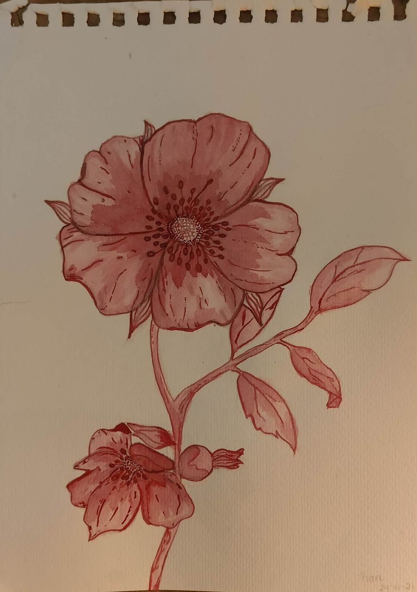 monochromatic exercise