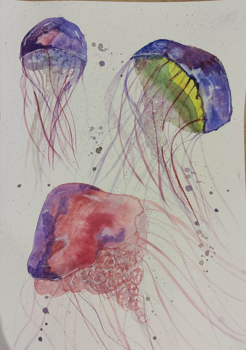 jellyfish