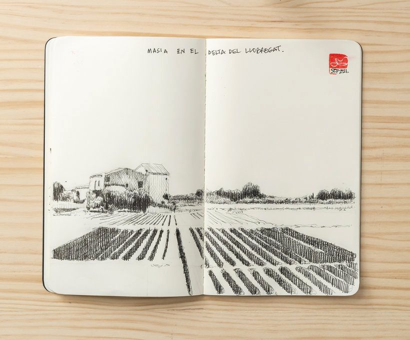 Masía y campos en tinta negra - Ilustración tradicional