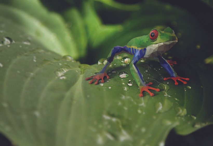 Polygon Frog 1
