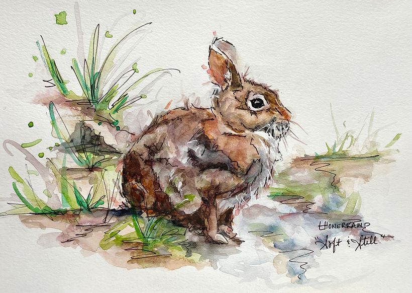 Wildlife illustration 2