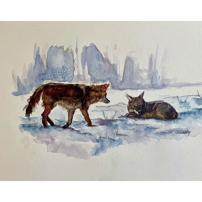 Wildlife illustration 6