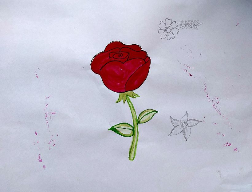 Mi Proyecto del curso: Animales y plantas en acuarela 3