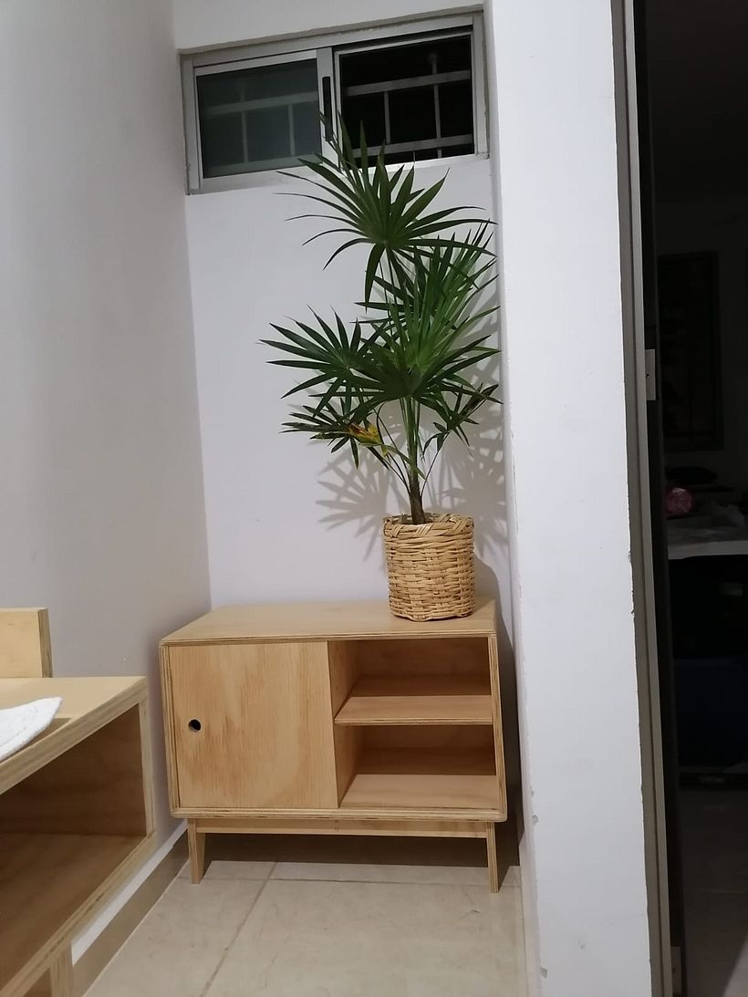 Mi Proyecto del curso: Diseño y construcción de muebles para principiantes 2