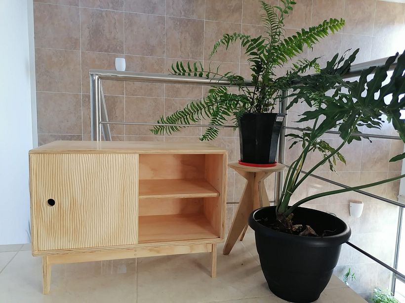 Mi Proyecto del curso: Diseño y construcción de muebles para principiantes 5
