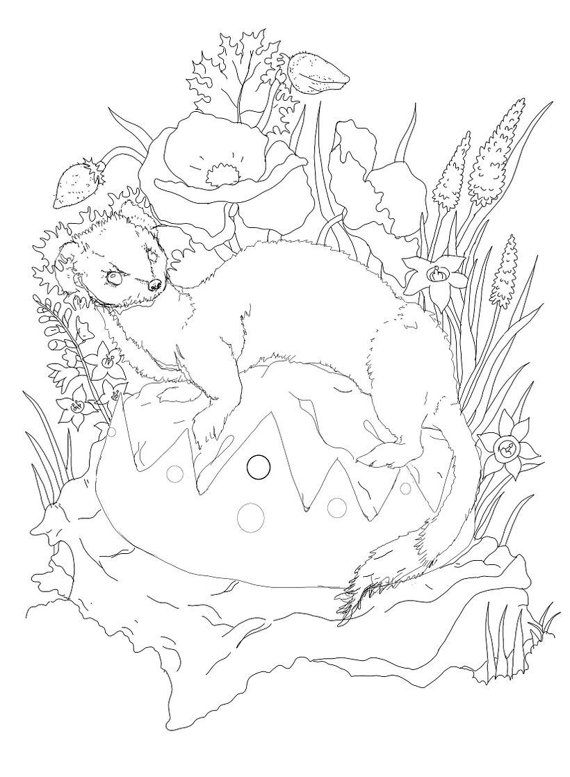 secondary sketch