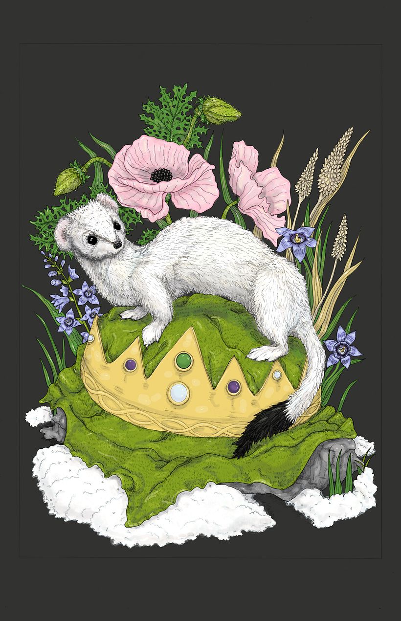 Final project - Ermine Queen