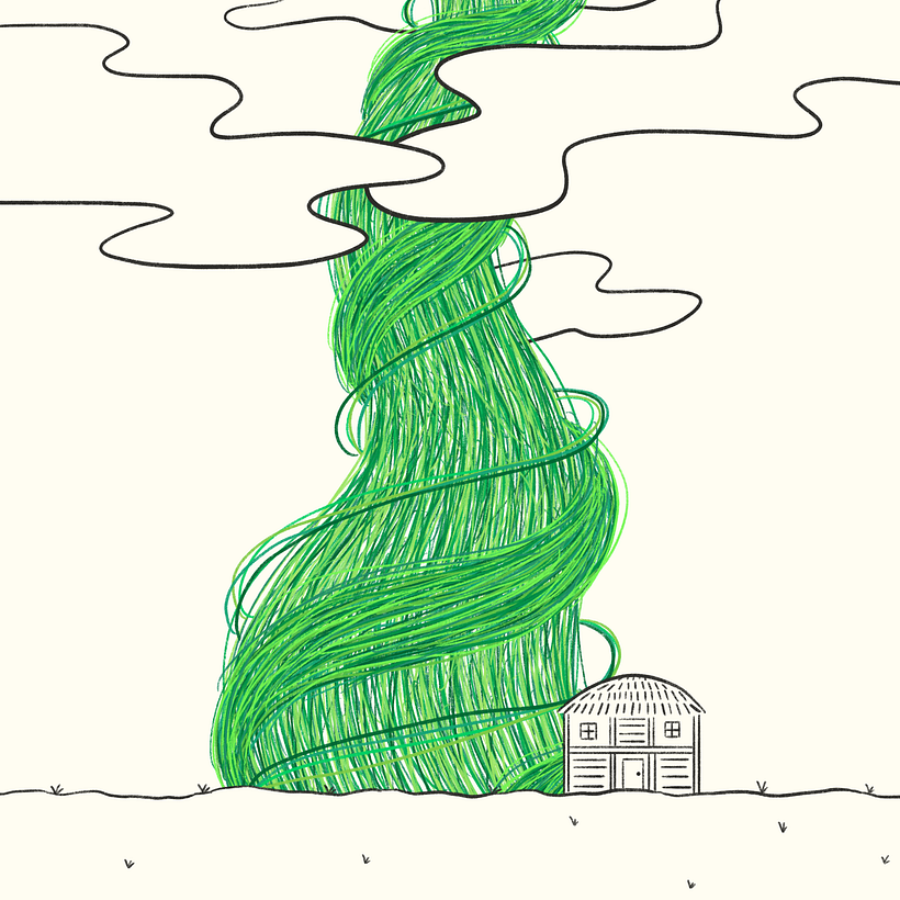 The beanstalk