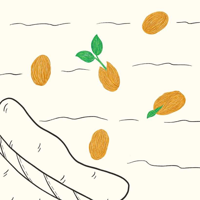 Jack and the Beanstalk Illustrations 4