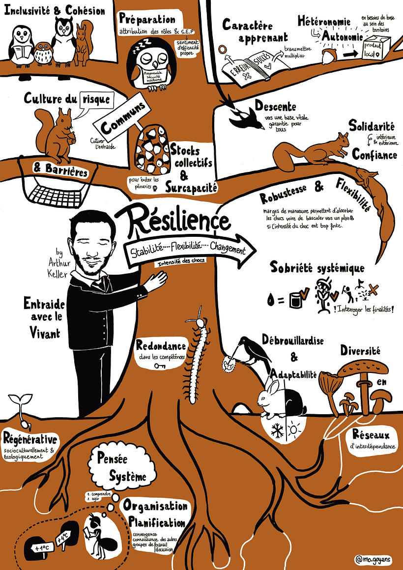 18 key-concepts to increase the resilience of territories (according to Arthur Keller)