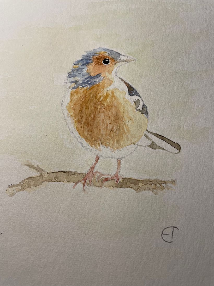 My project in Artistic Watercolor Techniques for Illustrating Birds course 1