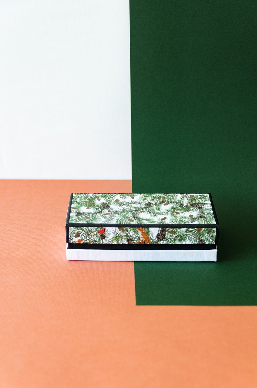 Diseño packaging para gafas