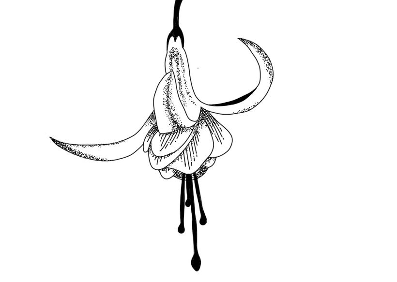 Mi Proyecto del curso: Diseño de tatuajes Blackwork Jinx 7