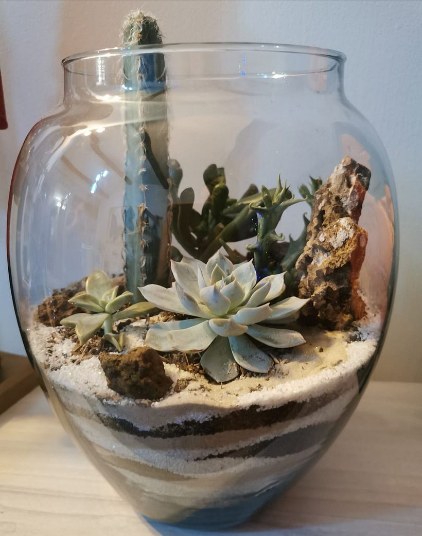 Mi Proyecto del curso: Arte vegetal: crea tu propio terrario abierto 2