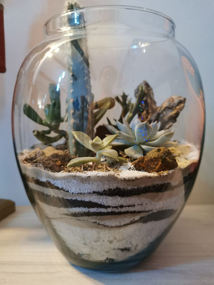 Mi Proyecto del curso: Arte vegetal: crea tu propio terrario abierto 4