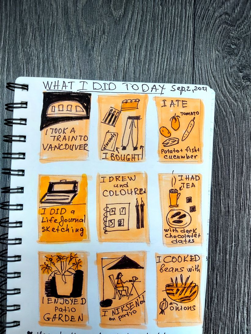 What I did today.