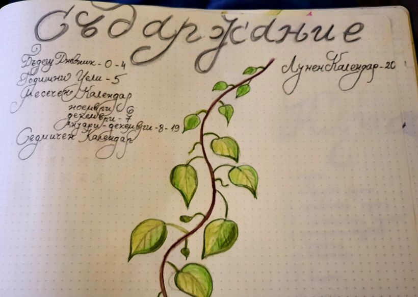 My bullet journal  4