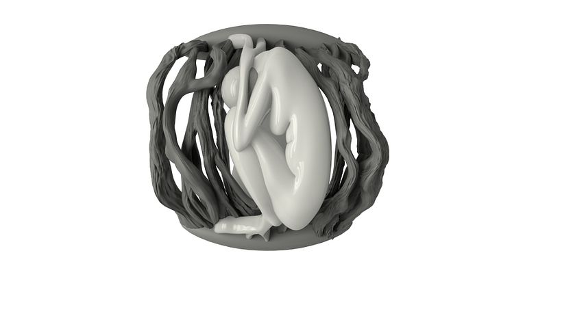 Anillo Raíces