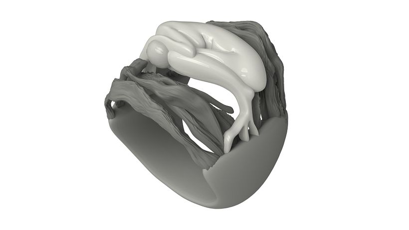 Anillo Raíces