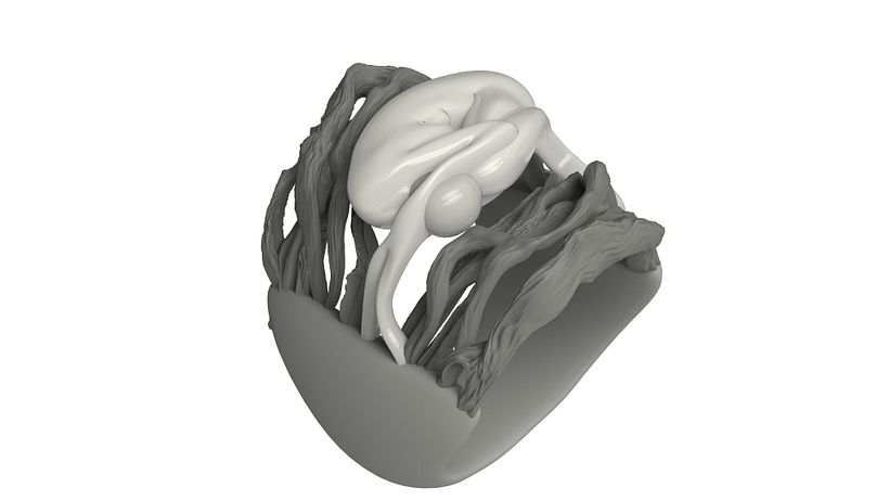 Anillo Raíces