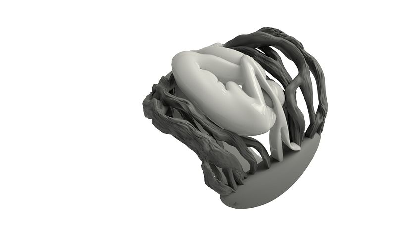 Anillo Raíces