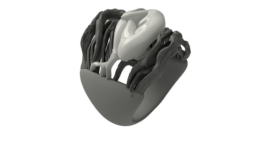Anillo Raíces