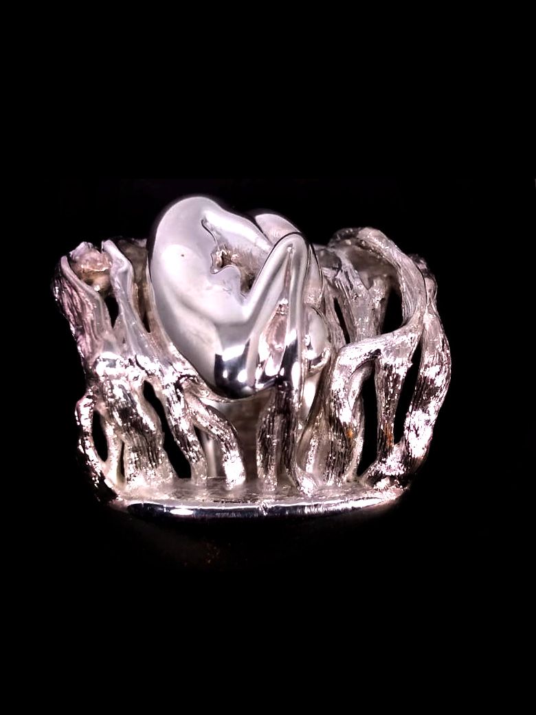 Anillo Raices