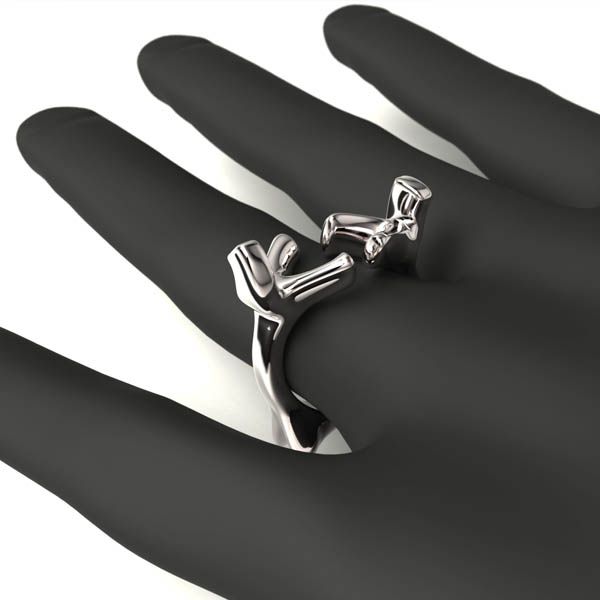Anillo Abrazo