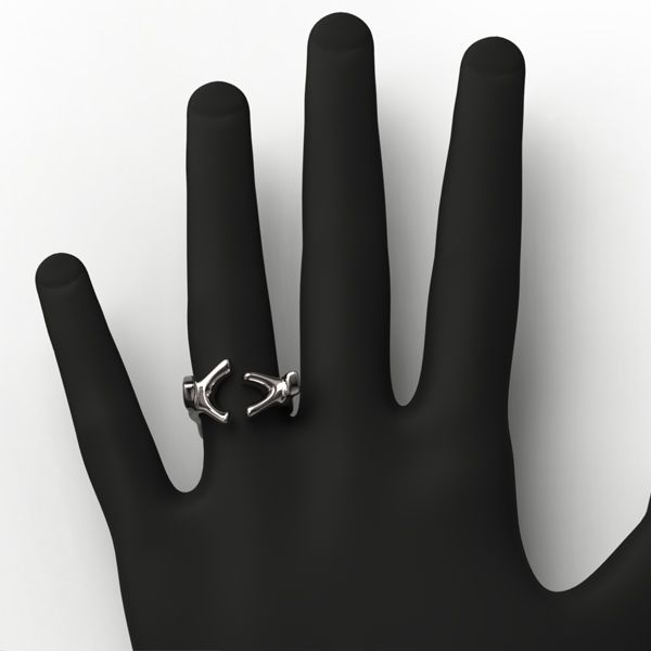Anillo Abrazo