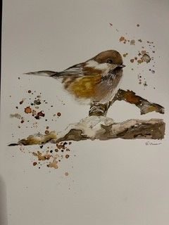 My project in Artistic Watercolor Techniques for Illustrating Birds course 1