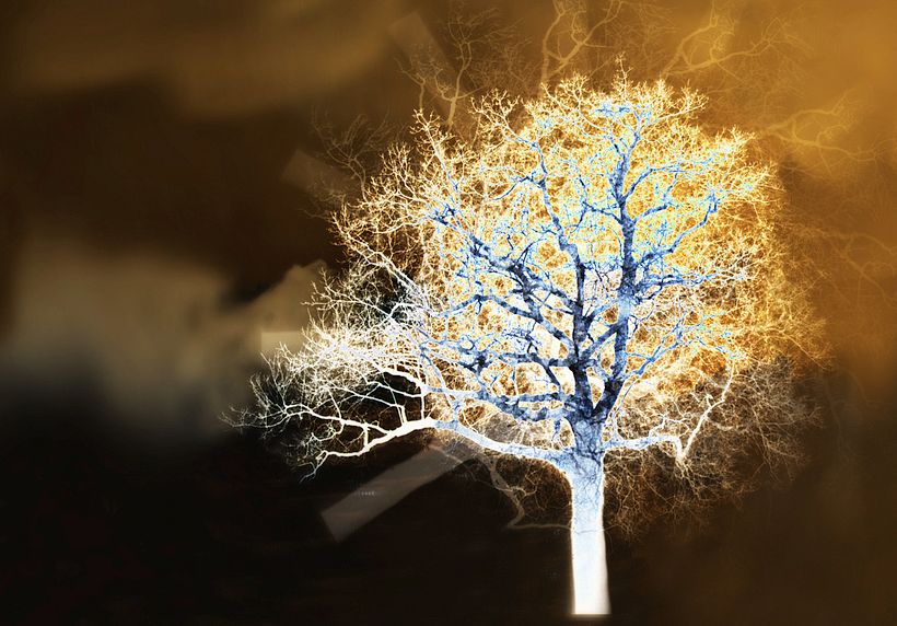 Impressionistic Trees 4