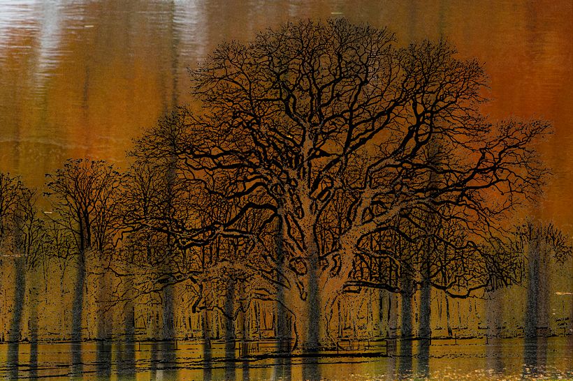Impressionistic Trees 5