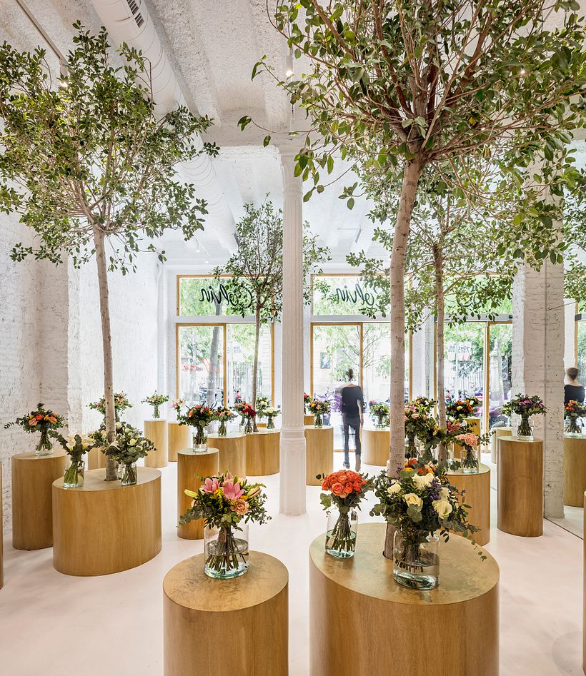 Floristería Colvin 1