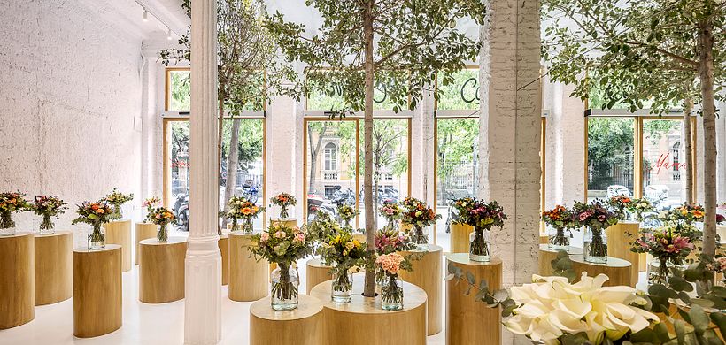 Floristería Colvin 2