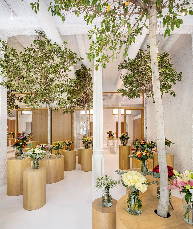 Floristería Colvin 6