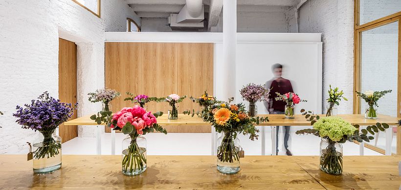 Floristería Colvin 10