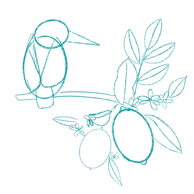 First sketch