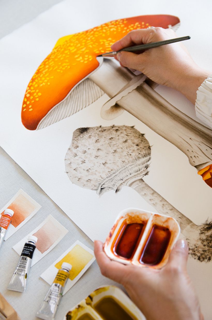 01 Desarrollo de ilustraciones para interior de hotel 2